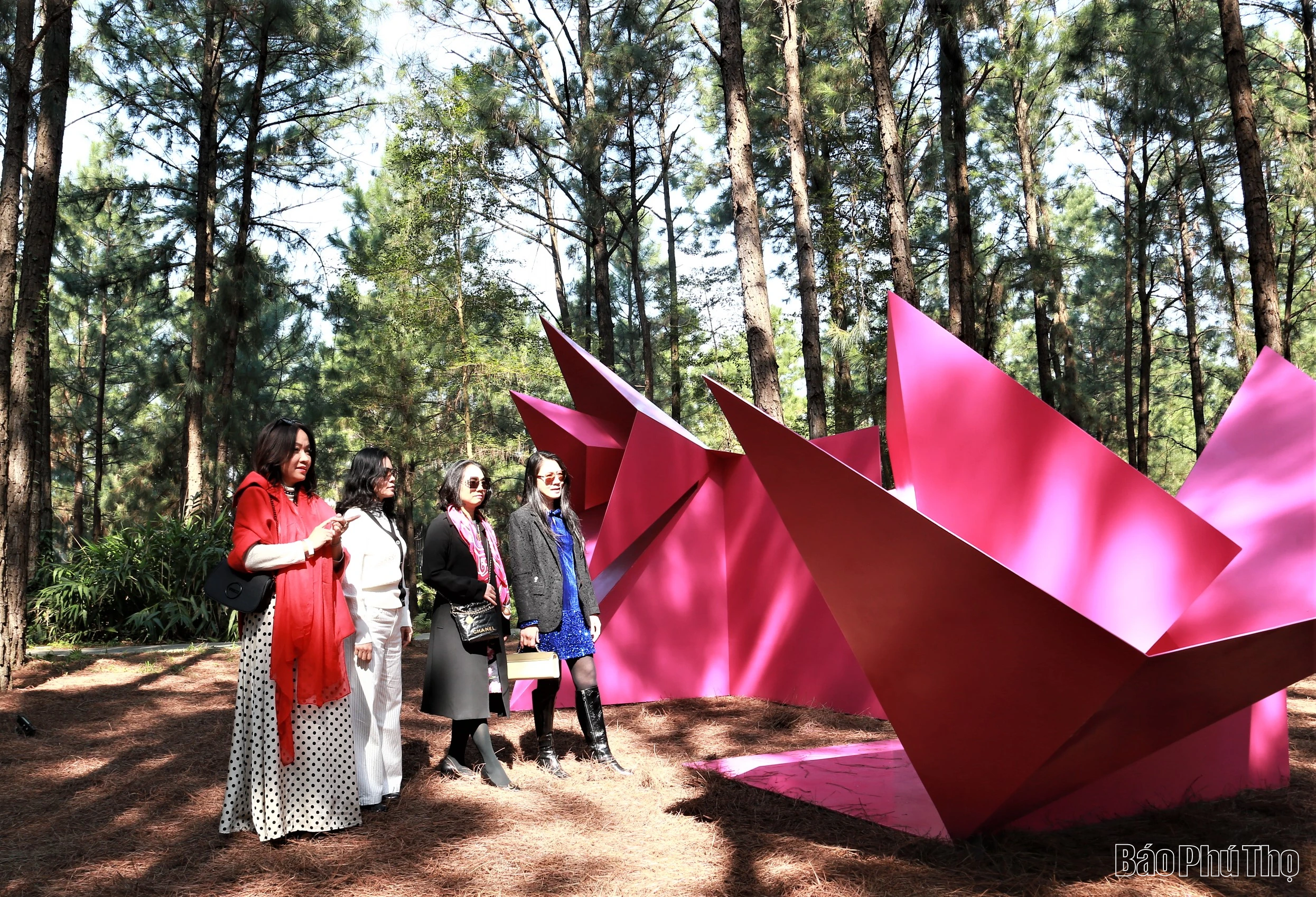 Flamingo Holdings kỷ niệm 10 năm hành trình nghệ thuật trong rừng