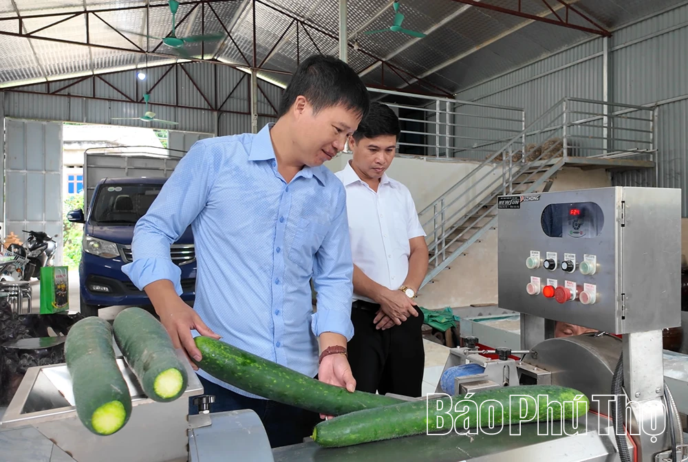 Văn Lang: Hành trình đổi thay