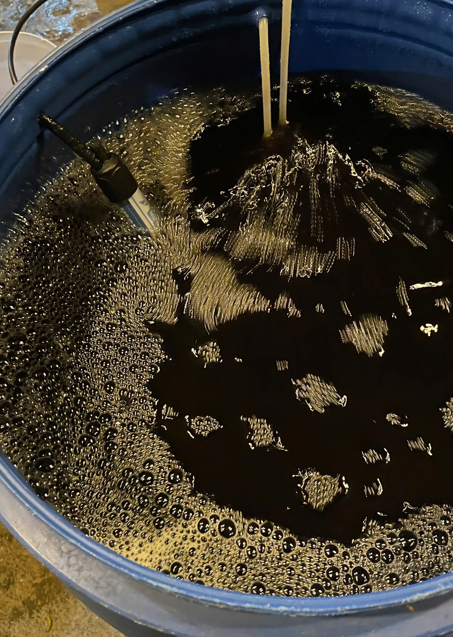 Khẳng định niềm tin từ sản xuất cam hữu cơ, an toàn