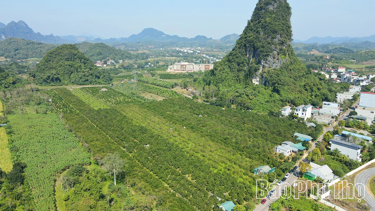 Trải nghiệm giữa sắc cam Cao Phong rực rỡ