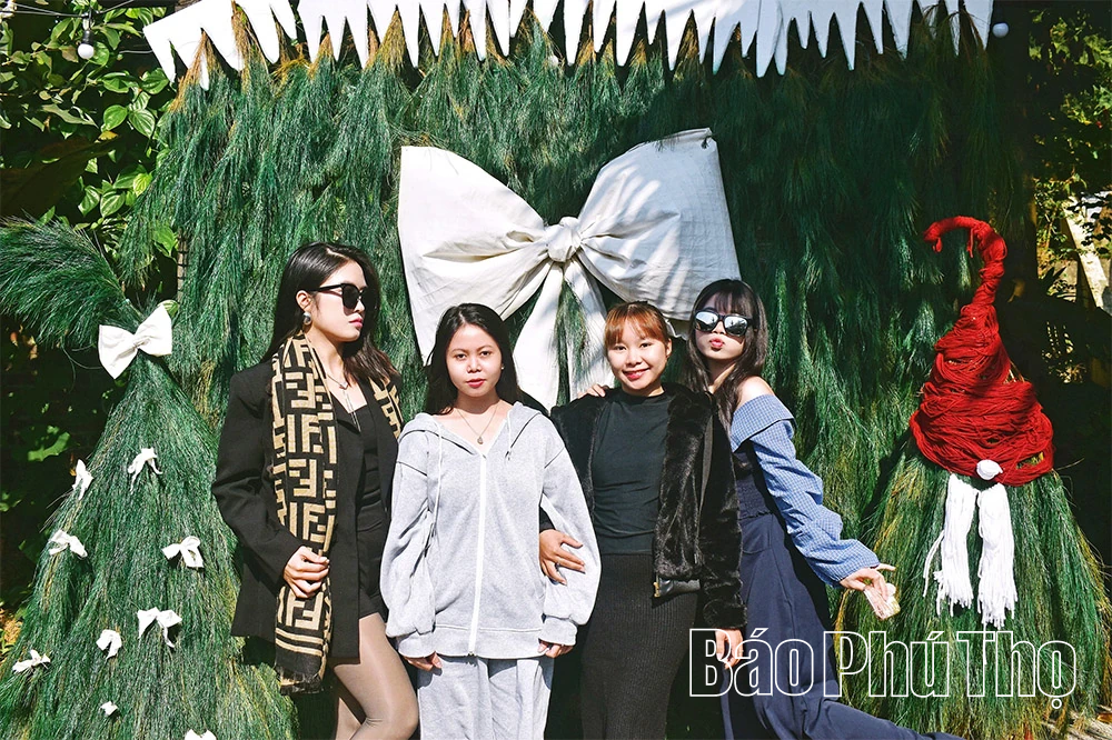 Phú Thọ “lên đèn” sớm mùa Giáng sinh