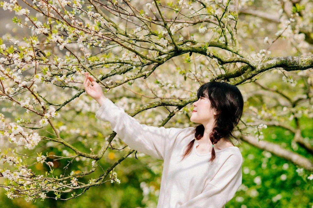 Nông nghiệp xanh ở Sơn La tạo nên thương hiệu du lịch nông thôn Tây Bắc