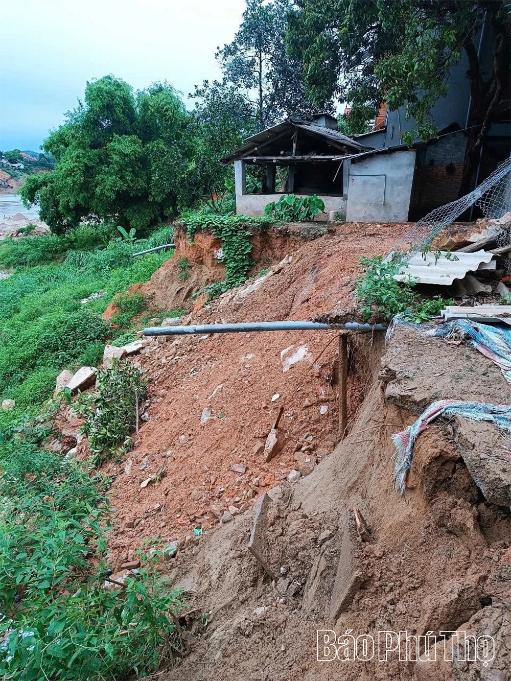 Sạt lở nghiêm trọng uy hiếp hàng chục hộ dân ven sông Lô tại xã Hải Lựu