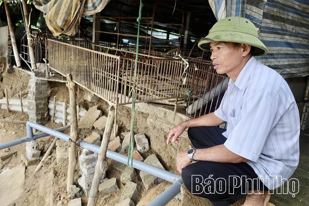 Sạt lở nghiêm trọng uy hiếp hàng chục hộ dân ven sông Lô tại xã Hải Lựu