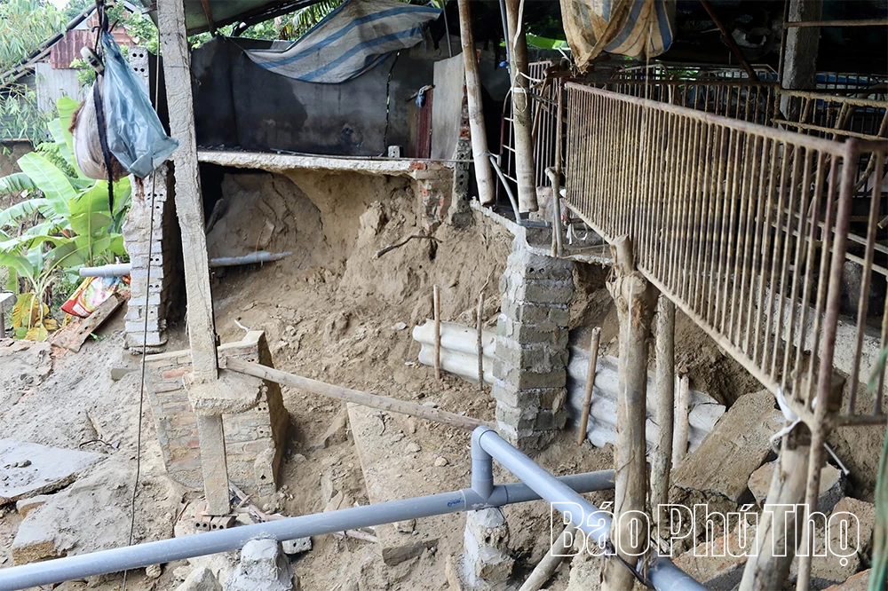 Sạt lở nghiêm trọng uy hiếp hàng chục hộ dân ven sông Lô tại xã Hải Lựu