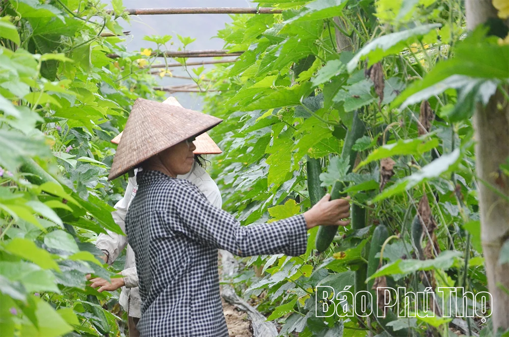 Xã Toàn Thắng tạo chuyển biến toàn diện trong công tác dân tộc