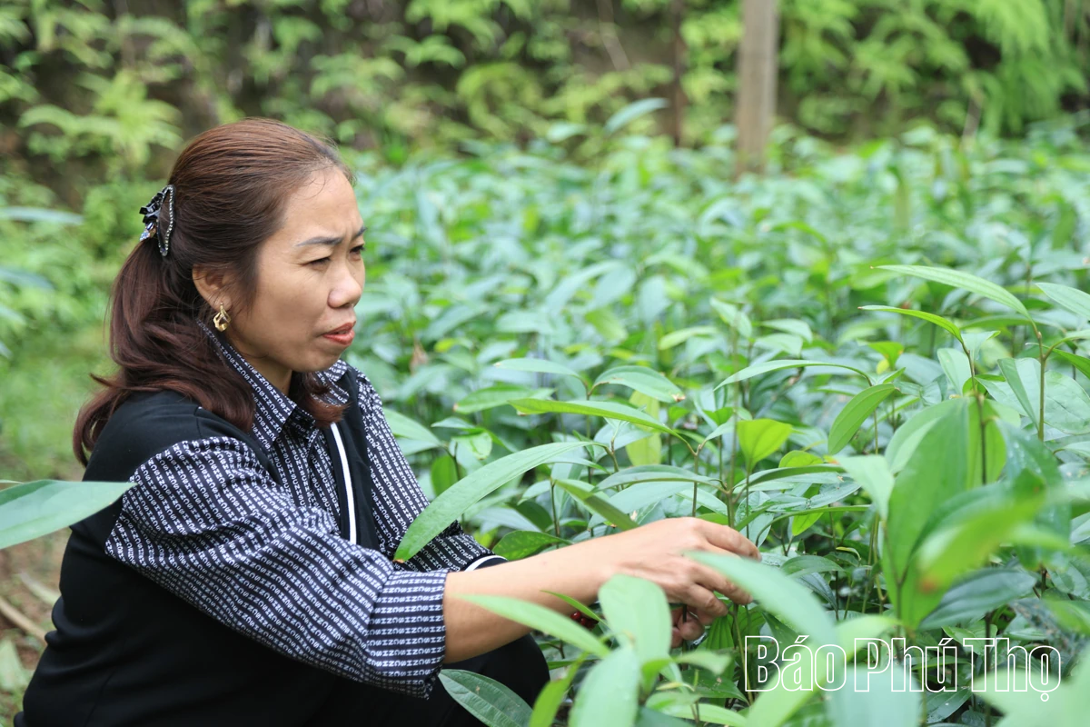 Ban Công tác Mặt trận khu Cảy – hạt nhân gắn kết cộng đồng