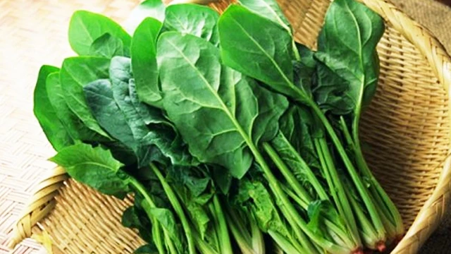 Gan nhiễm mỡ: 5 thực phẩm giúp bổ gan, giải độc tự nhiên