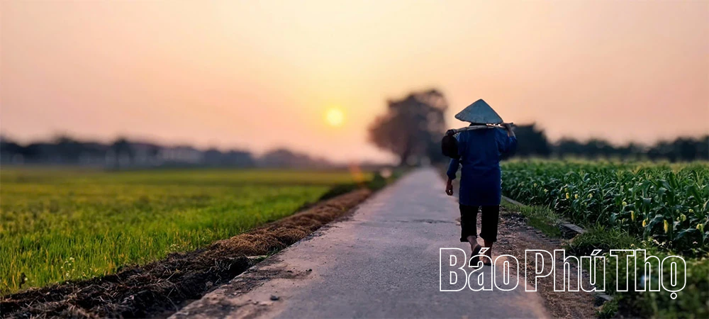 Chiều vàng trên những nẻo đồng quê