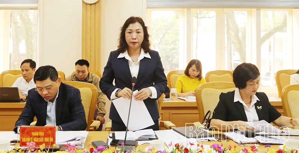 Ban Kinh tế - Ngân sách, HĐND tỉnh thẩm tra các dự thảo nghị quyết