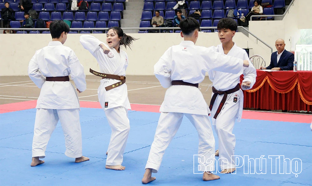 175 võ sinh, HLV đạt chuẩn tại Kỳ thi thăng đẳng cấp Quốc gia môn Karate năm 2025