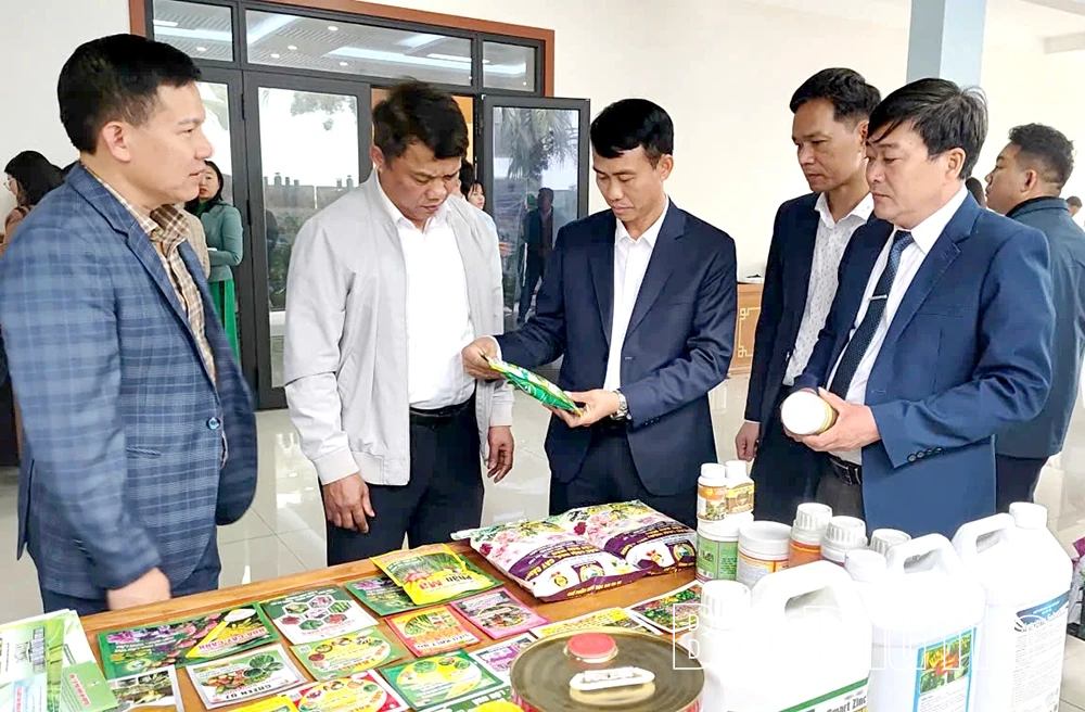 Triển khai sản xuất trồng trọt năm 2026