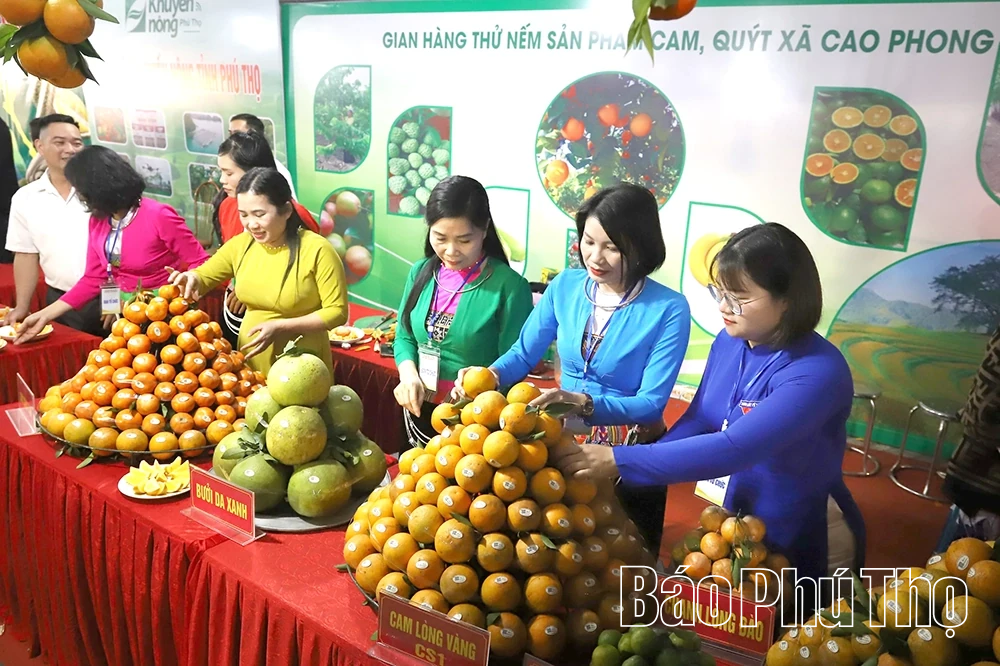 Khai mạc Lễ hội Cam Cao Phong và hội chợ triển lãm sản phẩm đặc trưng