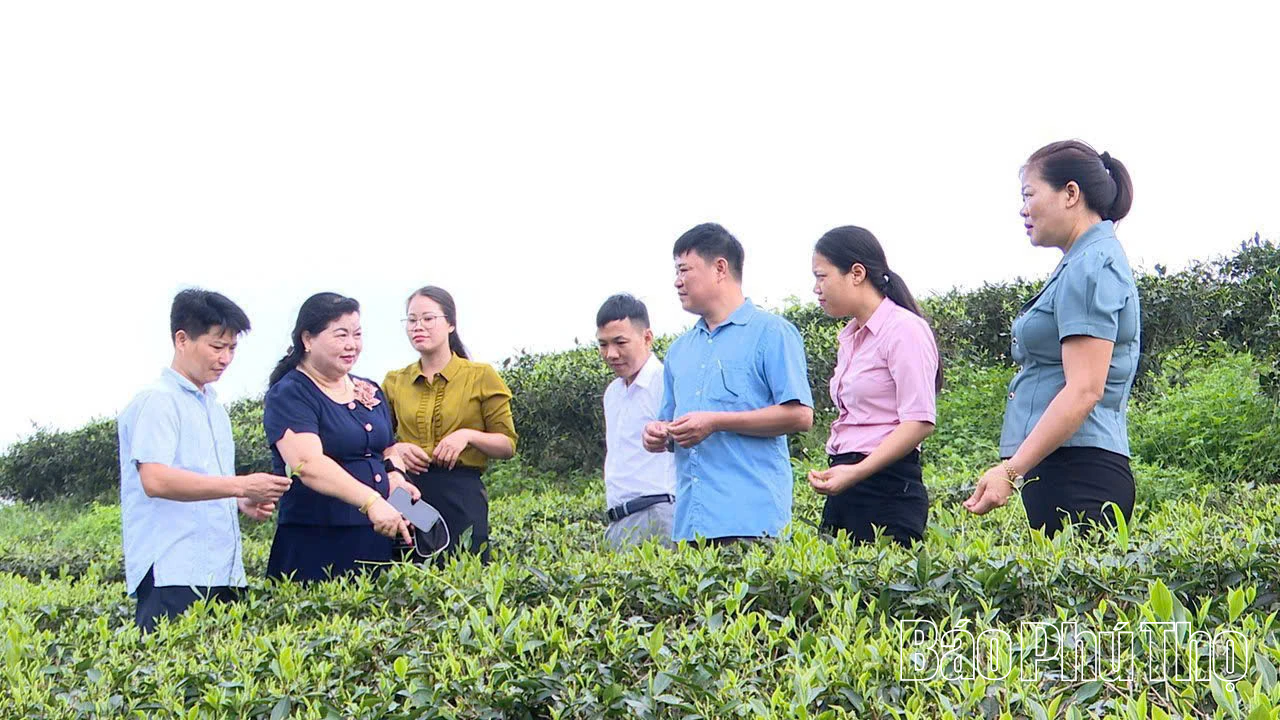 Phú Thọ chủ động thực thi EVFTA - cơ hội mới cho phát triển bền vững