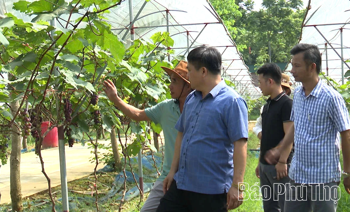 Lương Sơn tập trung nâng cao chất lượng truyền thông giảm nghèo bền vững