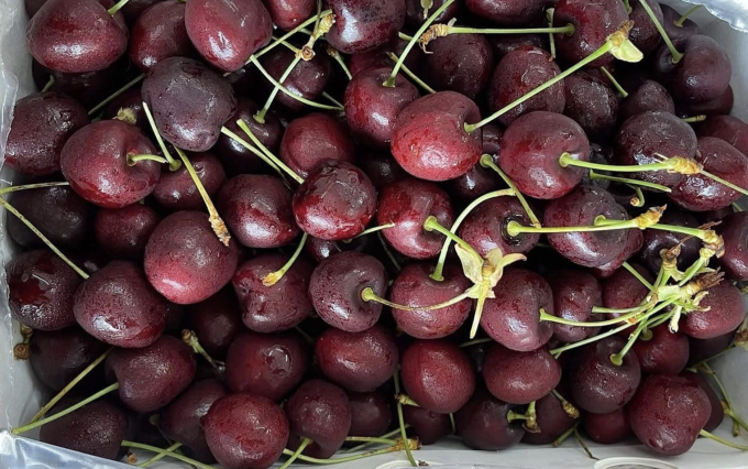 5 loại quả màu đỏ giúp tim khỏe mạnh