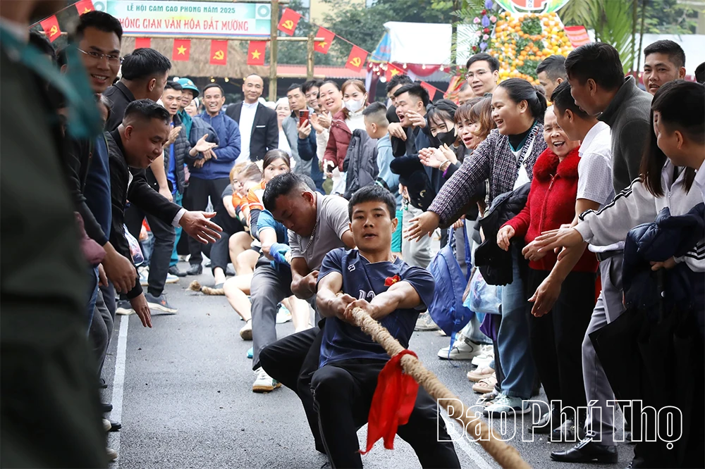 Khai mạc các hoạt động văn nghệ, thể thao tại Lễ hội Cam Cao Phong năm 2025