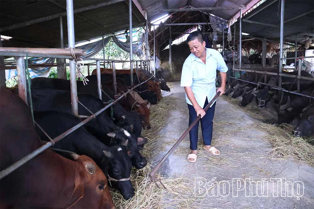 Xuân Viên nâng cao chất lượng cuộc sống người dân