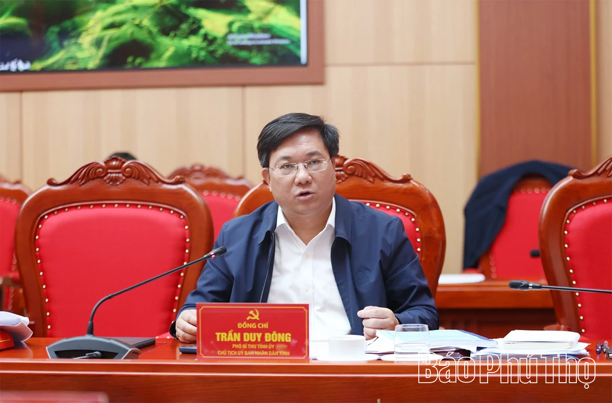 Thường trực Tỉnh ủy cho ý kiến một số nội dung quan trọng