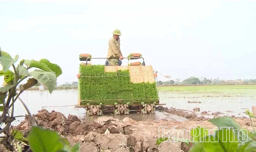 Cơ giới hóa trong sản xuất nông nghiệp