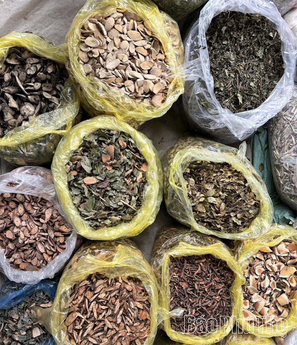 Trải nghiệm chợ thuốc Nam xứ Mường