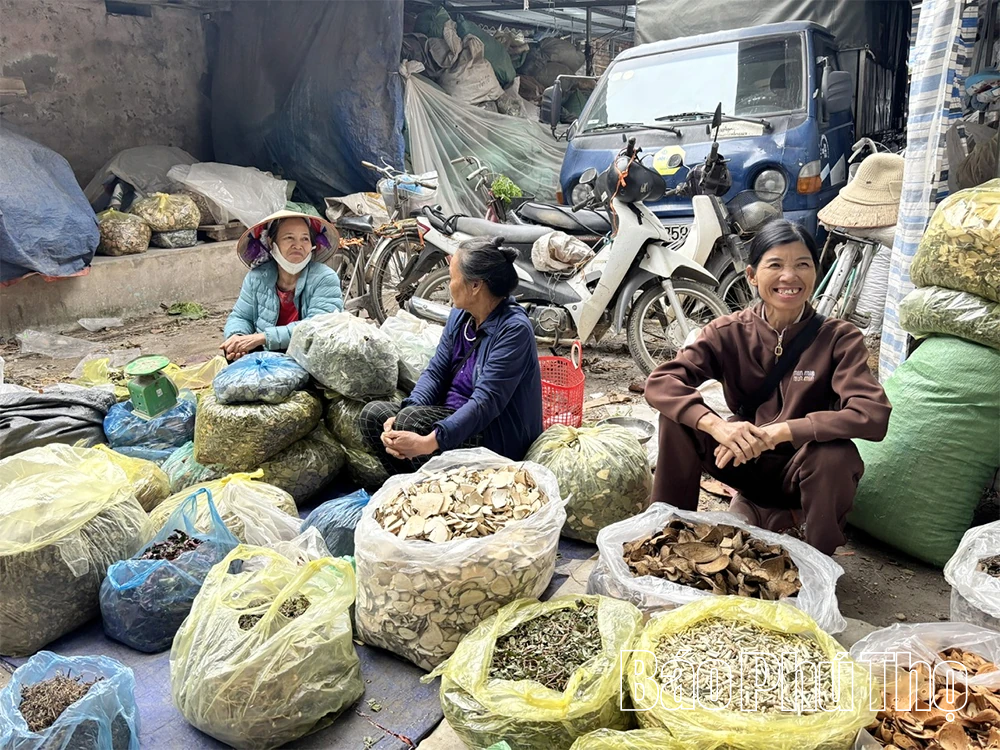 Trải nghiệm chợ thuốc Nam xứ Mường