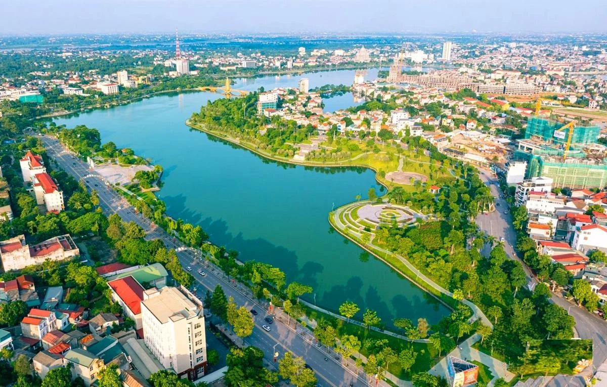 Thị trường cây xanh công trình cuối năm: Xu hướng chọn cây bản địa lên ngôi