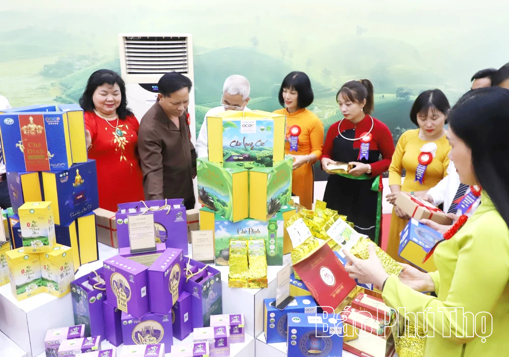 Hơn 9.600 phụ nữ là chủ doanh nghiệp, quản lý Hợp tác xã, chủ hộ kinh doanh được hỗ trợ nâng cao năng lực