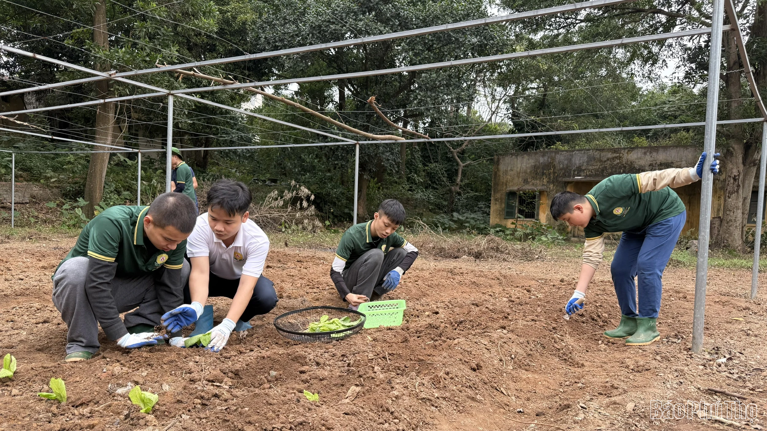 Chung tay mở cánh cửa hòa nhập cho trẻ tự kỷ