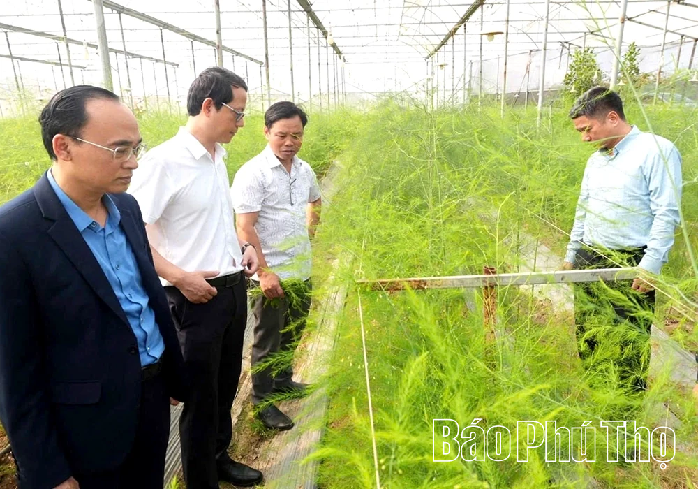 Xã Hoàng An tiếp đoàn chuyên gia tư vấn phát triển khoa học, công nghệ