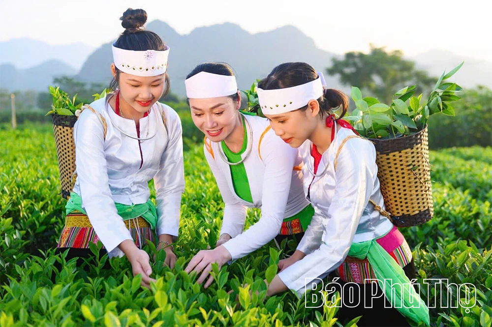 Số hoá - Chìa khóa nâng vị thế nông sản