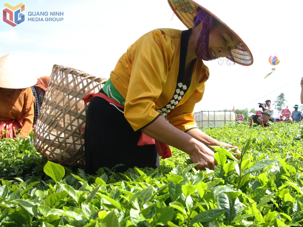 Sắc màu du lịch nông nghiệp Quảng Ninh