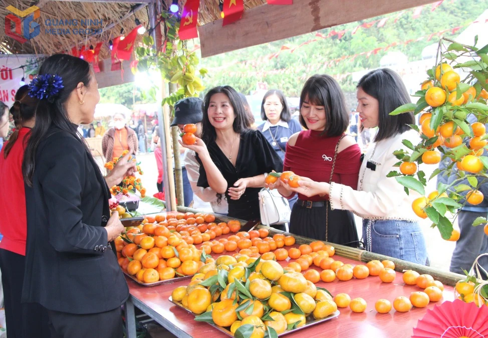 Sắc màu du lịch nông nghiệp Quảng Ninh