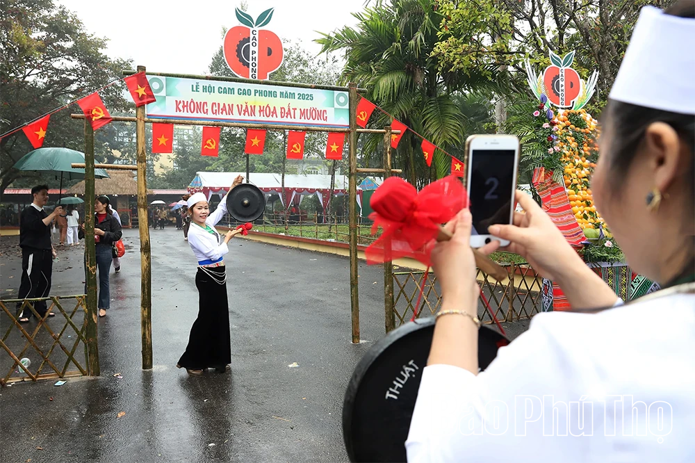 Sắc cam Cao Phong - Kết nối giá trị nông nghiệp và văn hóa
