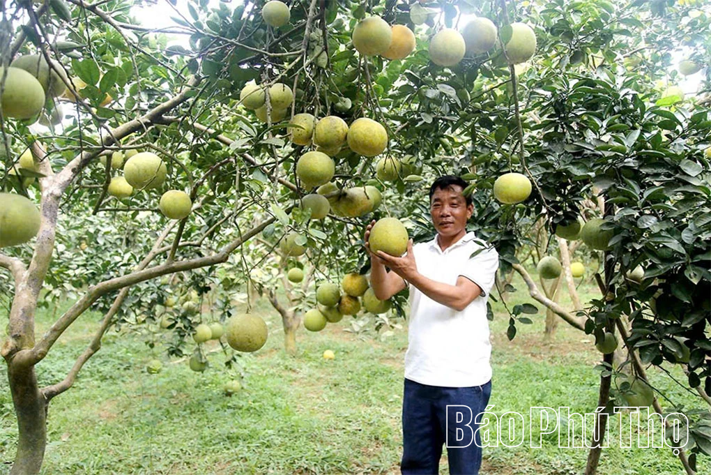 Điểm tựa vững chắc cho nông nghiệp và nông thôn mới