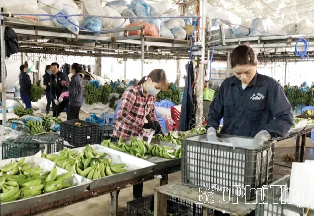 Bứt phá chuyển đổi số sau sáp nhập tỉnh: kiến tạo chính quyền số, xã hội số từ cơ sở