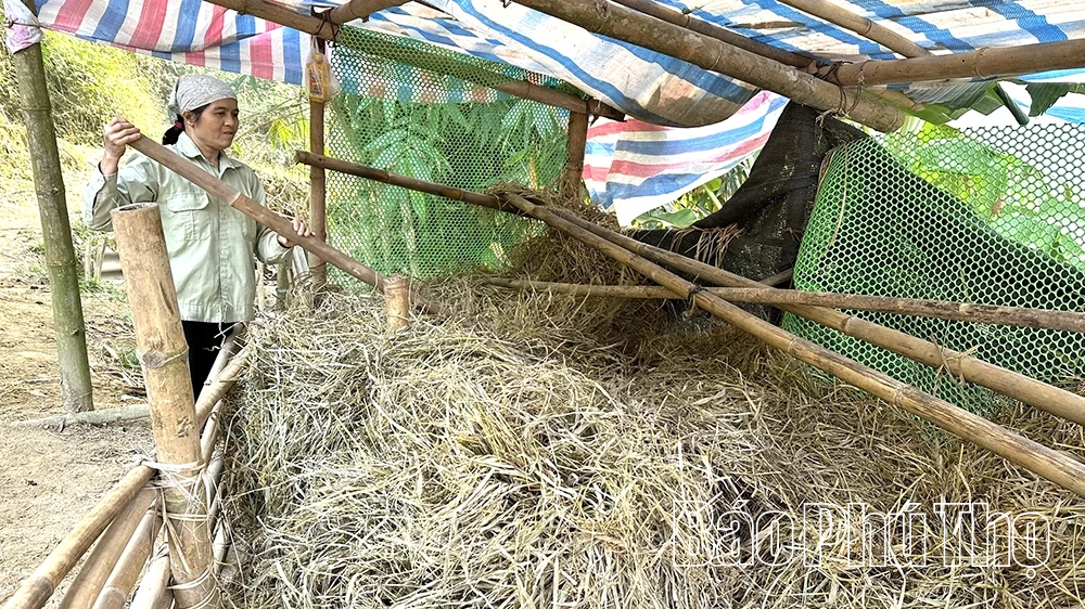 Vùng cao chủ động phòng chống rét đậm, rét hại