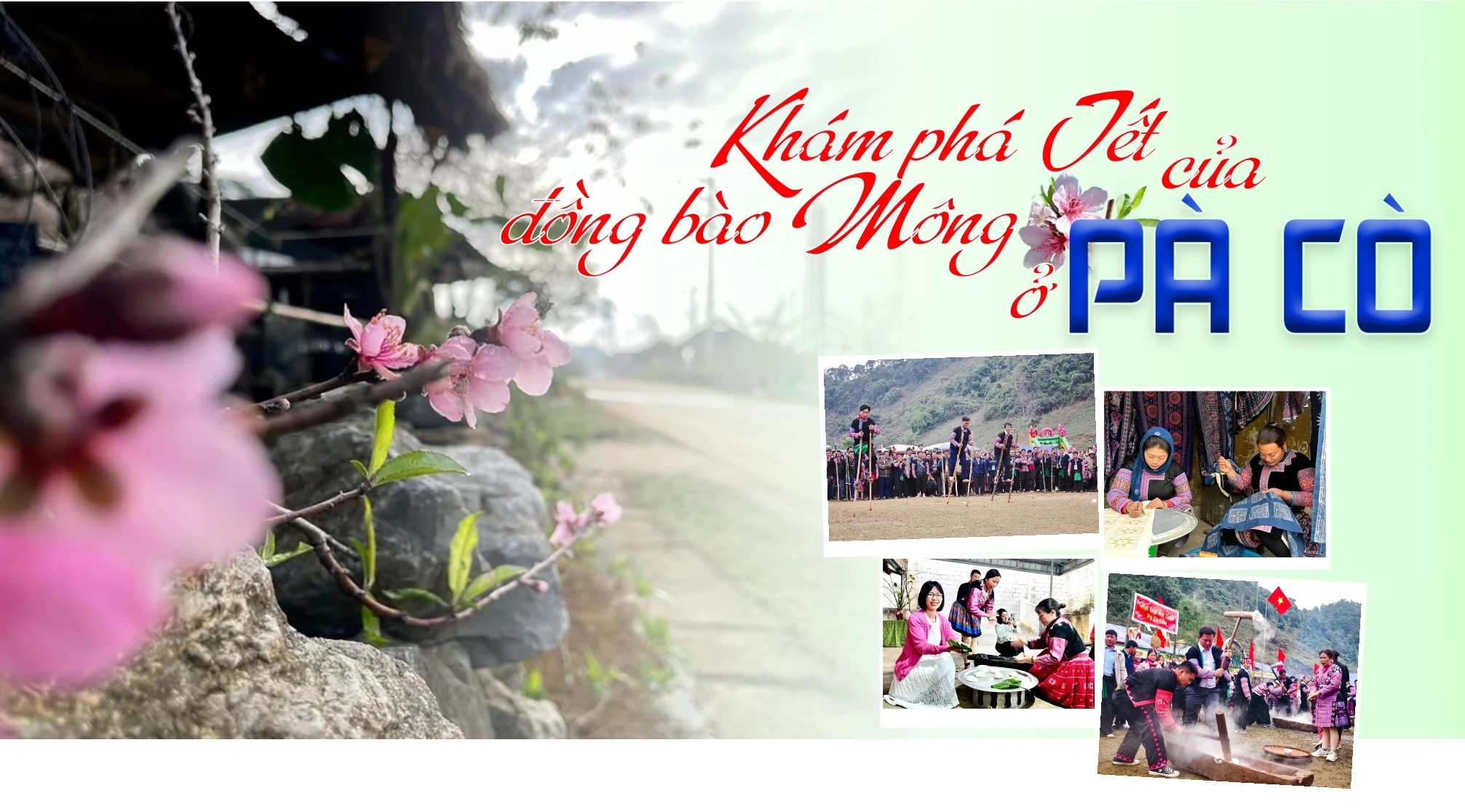 Khám phá Tết của đồng bào Mông ở Pà Cò