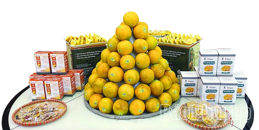 Vươn lên từ đồng đất quê hương