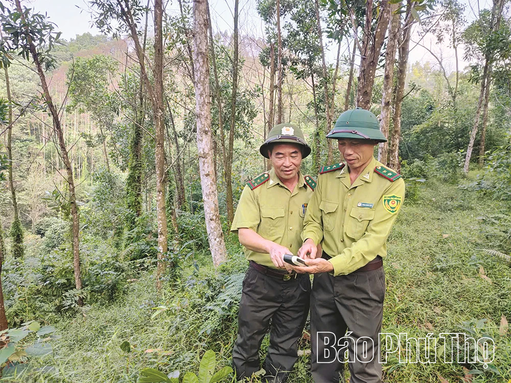 Những “người lính” gác rừng