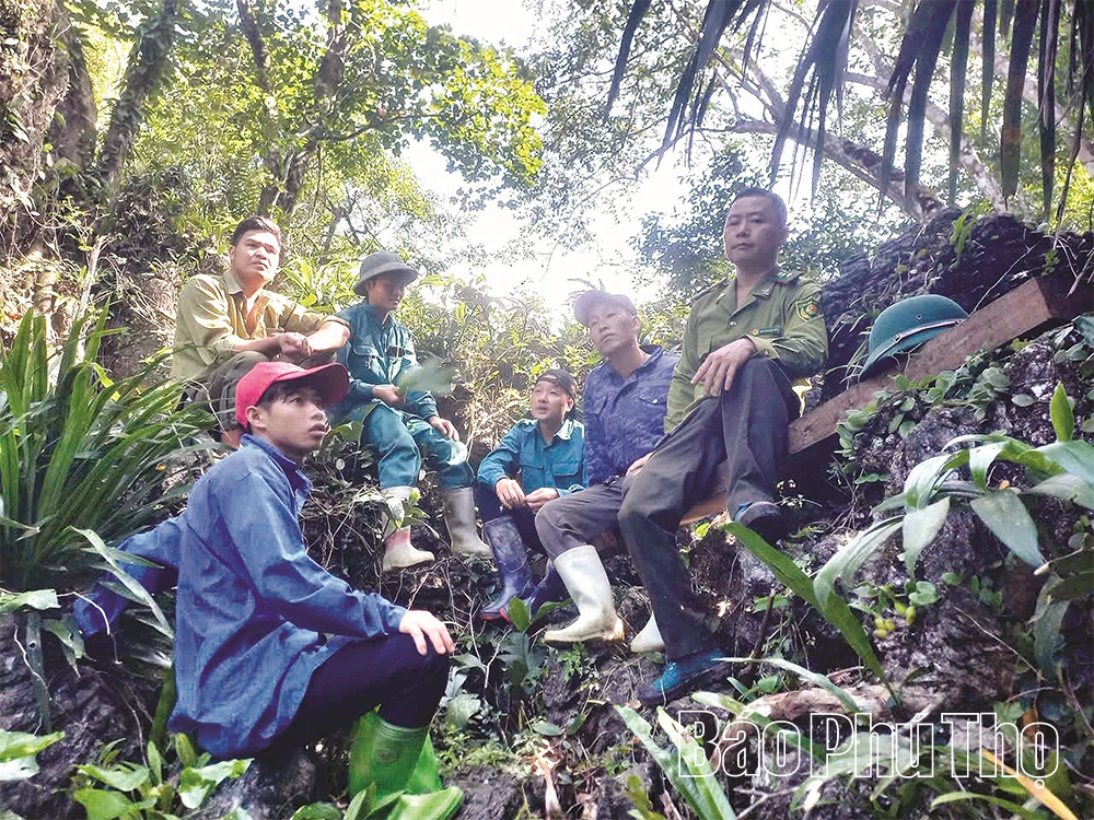 Những “người lính” gác rừng