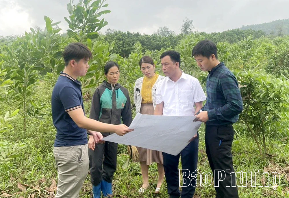 Những cạm bẫy không mới, nhưng ngày càng tinh vi