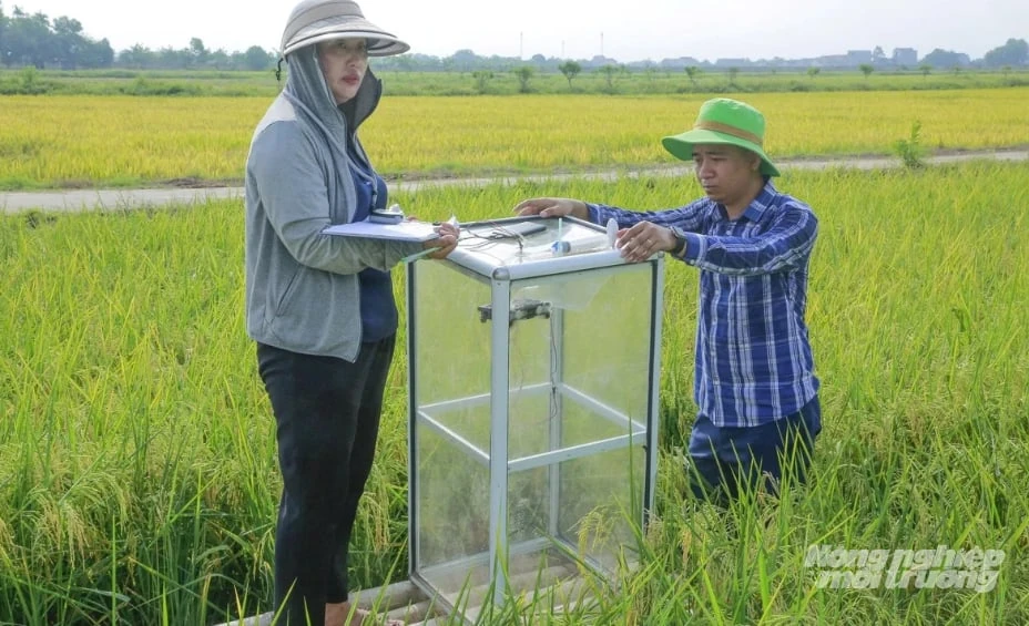 Thanh Hóa lan tỏa phong trào sản xuất sạch gắn với bảo vệ môi trường
