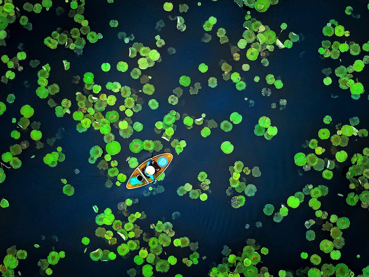 Hồn Việt qua ống kính nhiếp ảnh của nghệ sĩ Đất Tổ