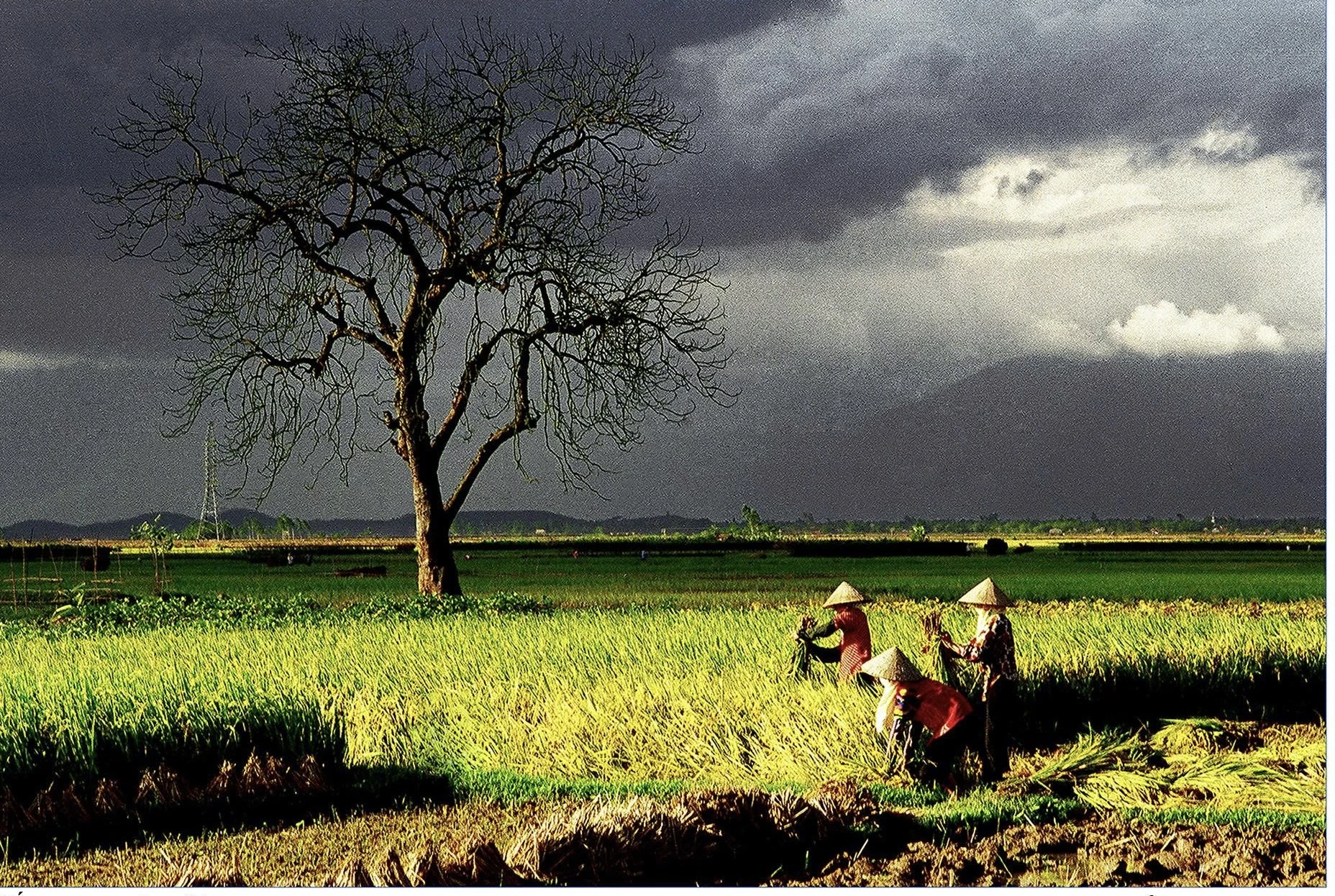 Hồn Việt qua ống kính nhiếp ảnh của nghệ sĩ Đất Tổ