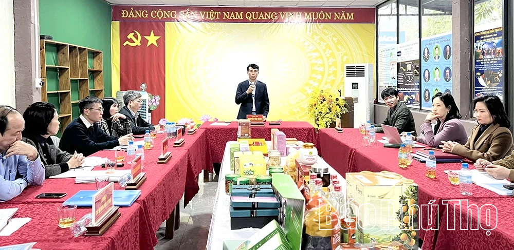 Đánh giá, phân hạng 46 sản phẩm OCOP