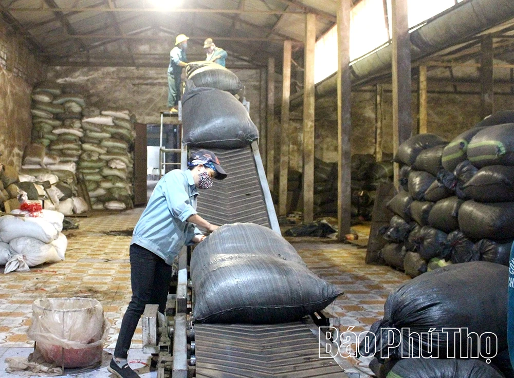 Halal - Thị trường tiềm năng cho chè Phú Thọ