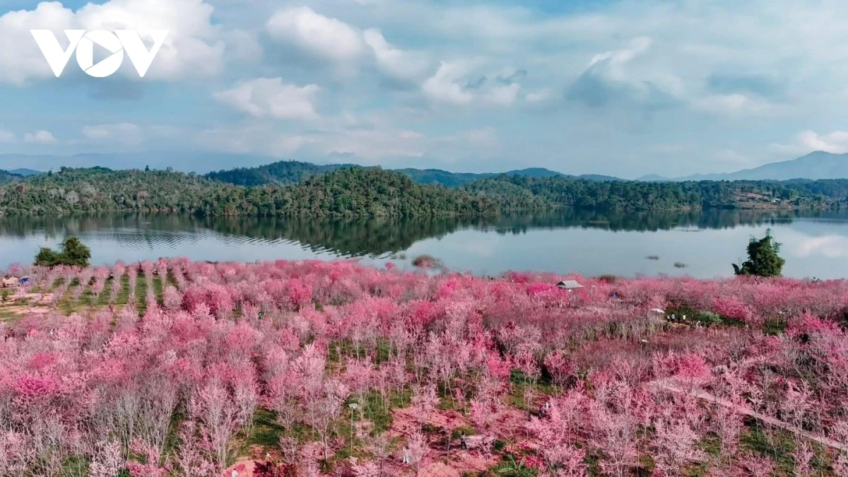 Điện Biên đổi mới cách làm du lịch, tạo bứt phá cho năm 2026