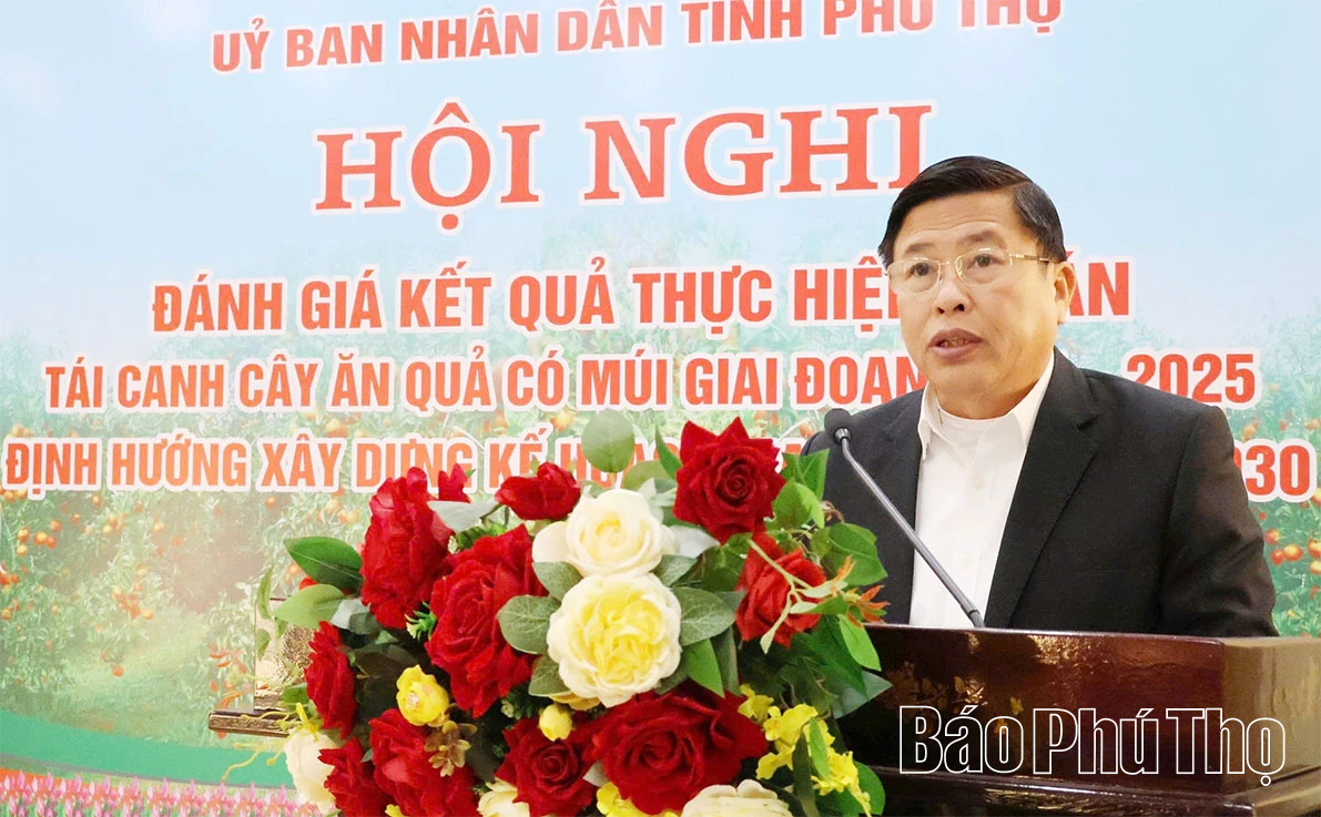 Tạo nền tảng bền vững cho vùng cây ăn quả có múi sau tái canh giai đoạn 2026-2030