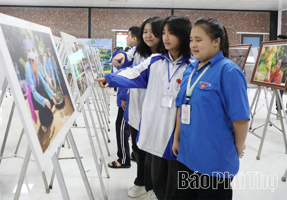 Văn học nghệ thuật tỉnh phát huy giá trị sáng tạo